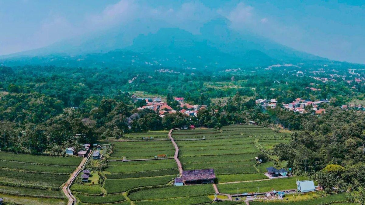 Bogor Selatan - Kota